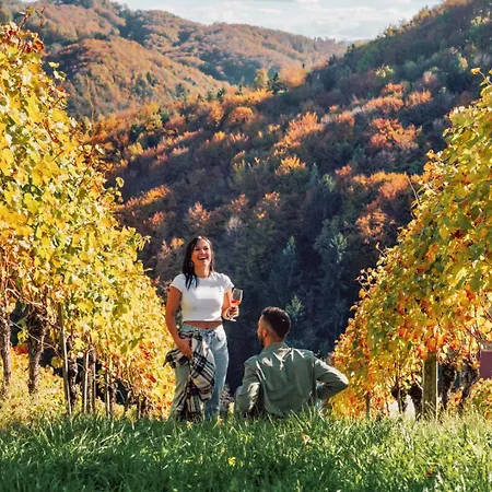 Winzerhaus Oswald Narrath