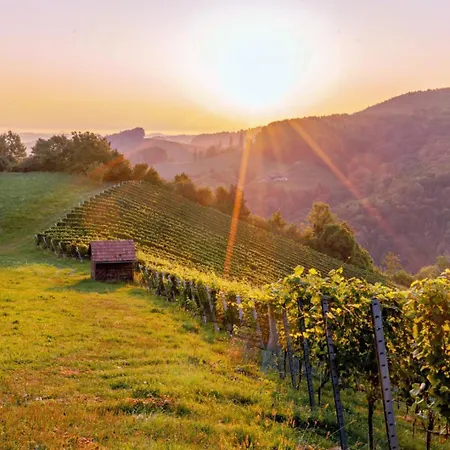 Winzerhaus Oswald Daire *