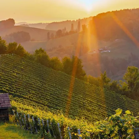 Daire Winzerhaus Oswald *