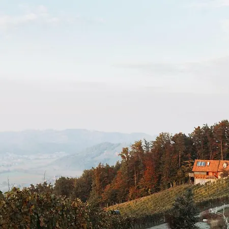 公寓 Winzerhaus Oswald