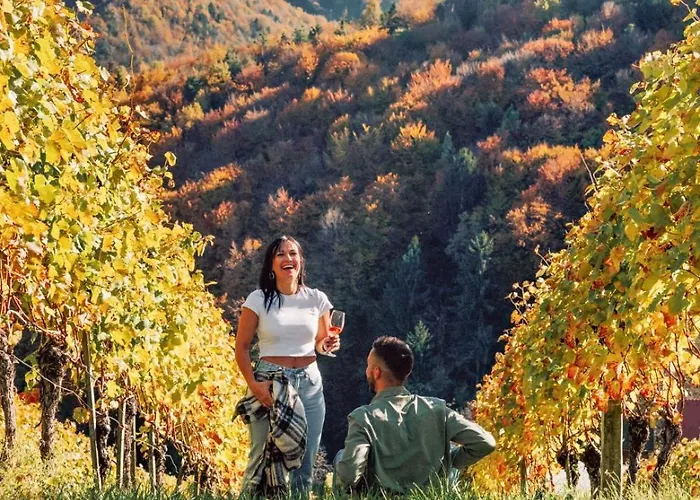 Winzerhaus Oswald Narrath