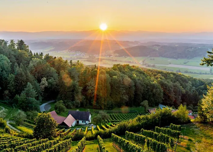 Winzerhaus Oswald * Narrath