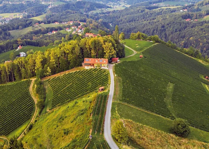 Winzerhaus Oswald 公寓