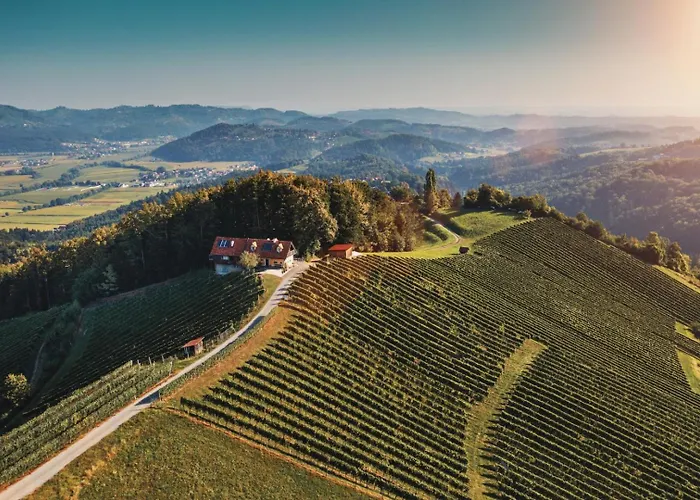 公寓 Winzerhaus Oswald