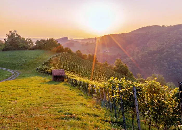 Winzerhaus Oswald 公寓 *