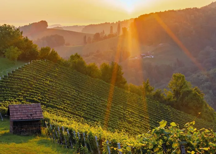 公寓 Winzerhaus Oswald *