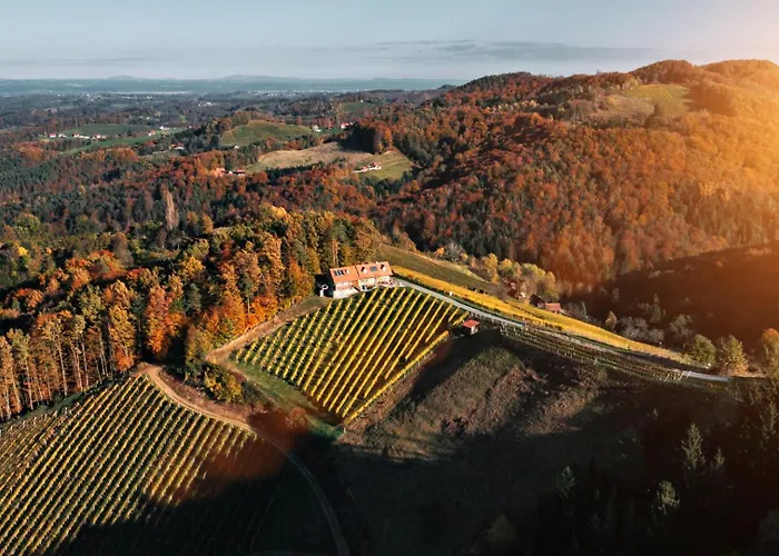 Winzerhaus Oswald 公寓 Narrath