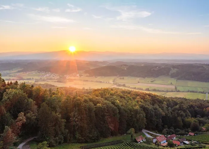 公寓 Winzerhaus Oswald Narrath