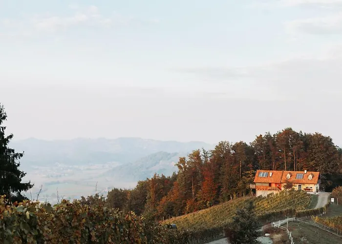 아파트 Winzerhaus Oswald