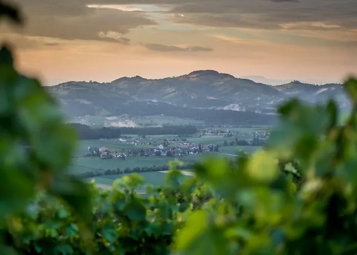 公寓 Winzerhaus Oswald