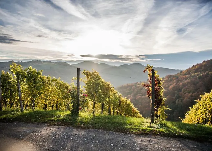 아파트 Winzerhaus Oswald