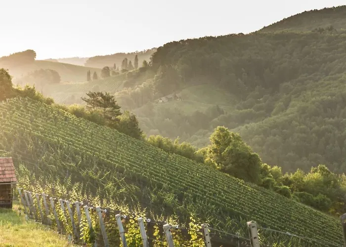 Winzerhaus Oswald Narrath